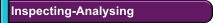 Inspecting-Analysing